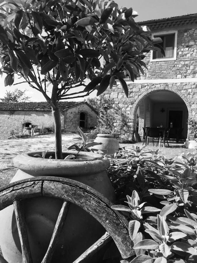 Podere Il Sasso Barberino di Mugello Zewnętrze zdjęcie