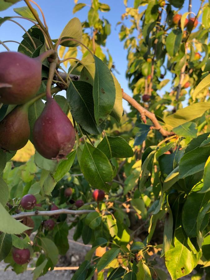 Podere Il Sasso Barberino di Mugello Zewnętrze zdjęcie