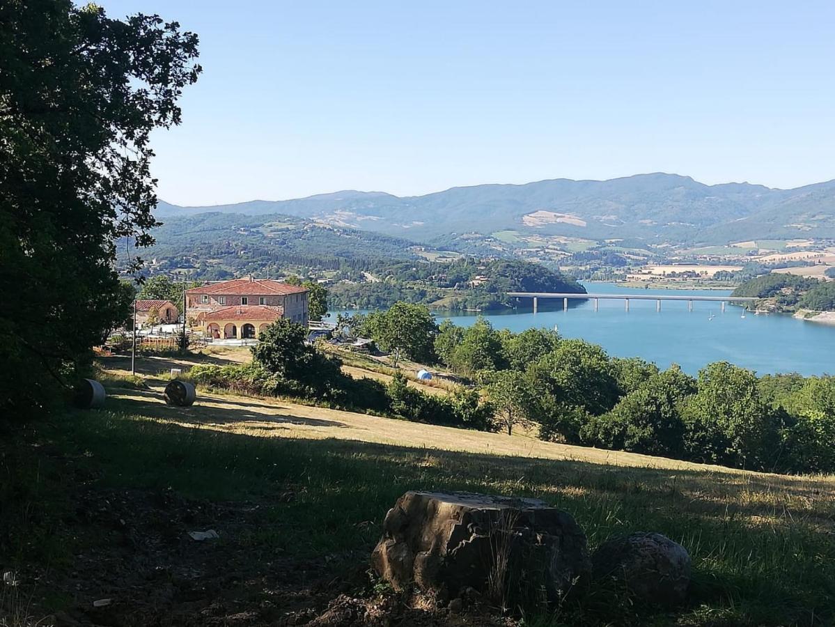 Podere Il Sasso Barberino di Mugello Zewnętrze zdjęcie