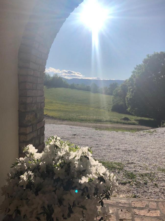 Podere Il Sasso Barberino di Mugello Zewnętrze zdjęcie