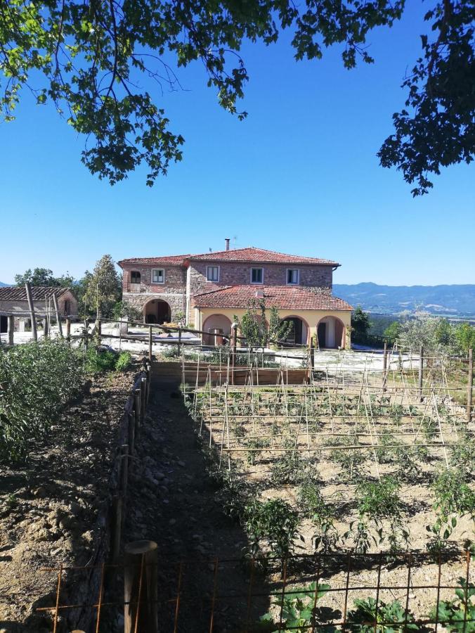 Podere Il Sasso Barberino di Mugello Zewnętrze zdjęcie
